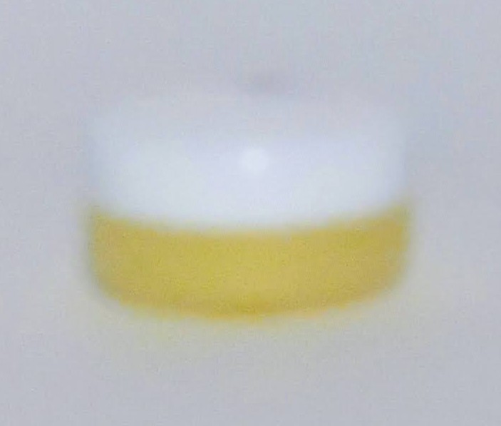sample extreme container